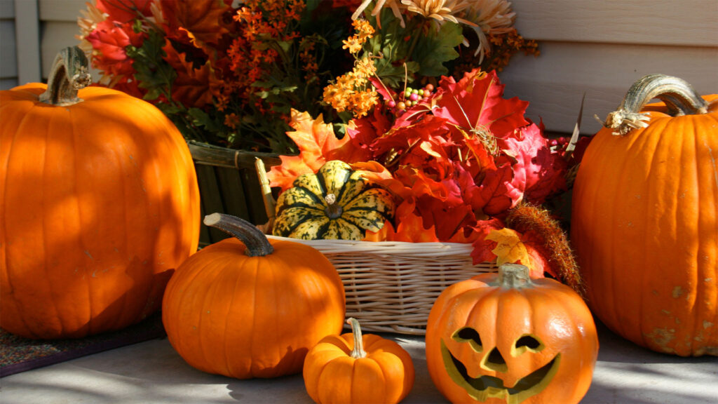 Trick Or Treat Your Home With These Fall Home Maintenance Tips!